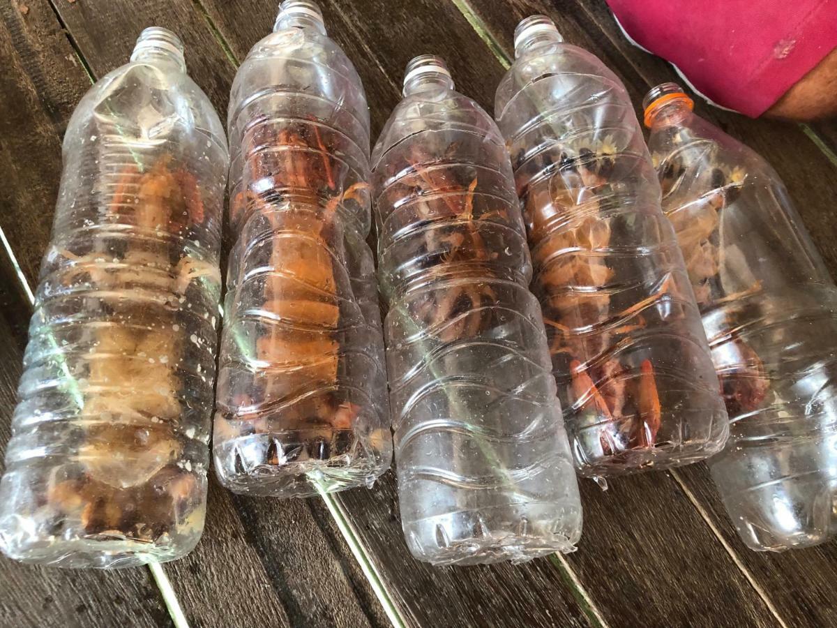 Mabul Island Spheredivers Scuba & Leisure מראה חיצוני תמונה